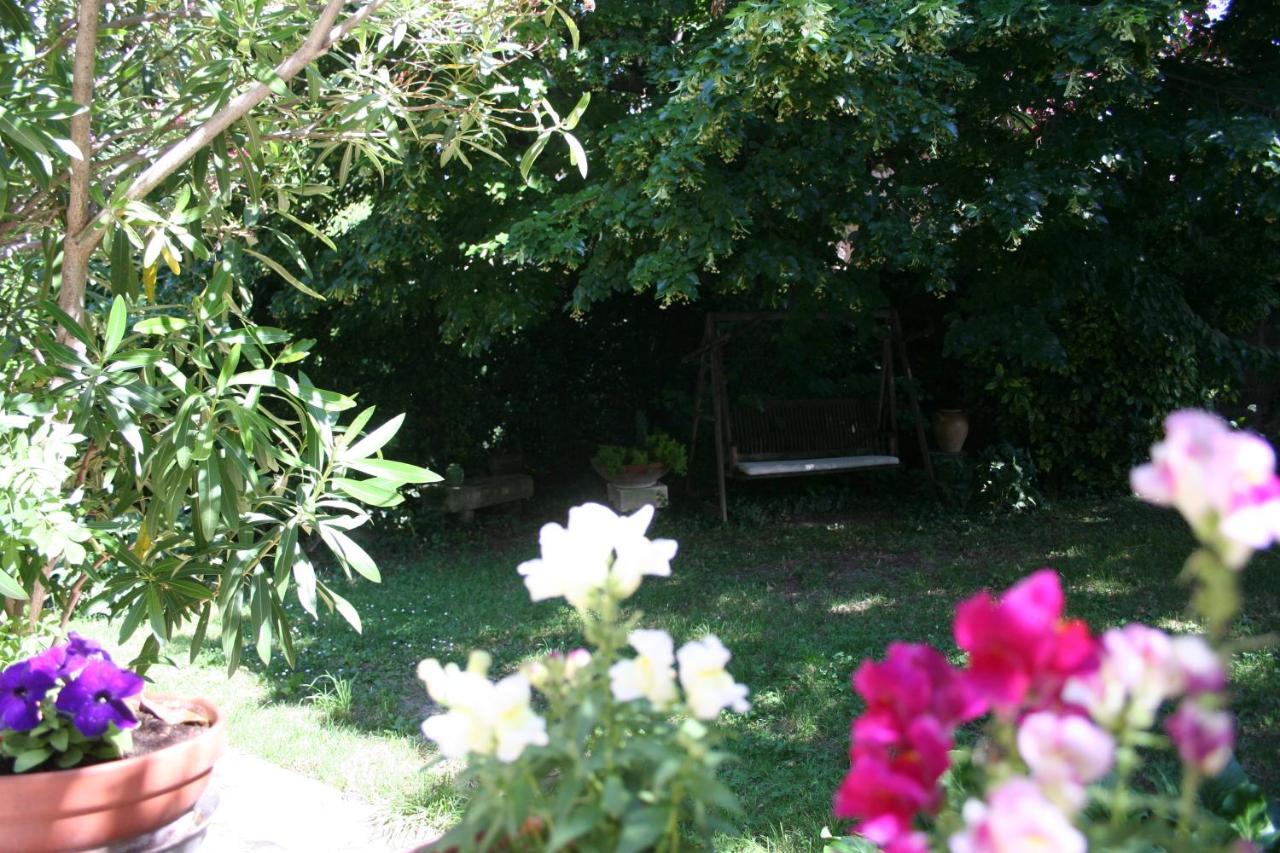 Le Petit Palais Maisonnette Aparthotel Αβινιόν Εξωτερικό φωτογραφία