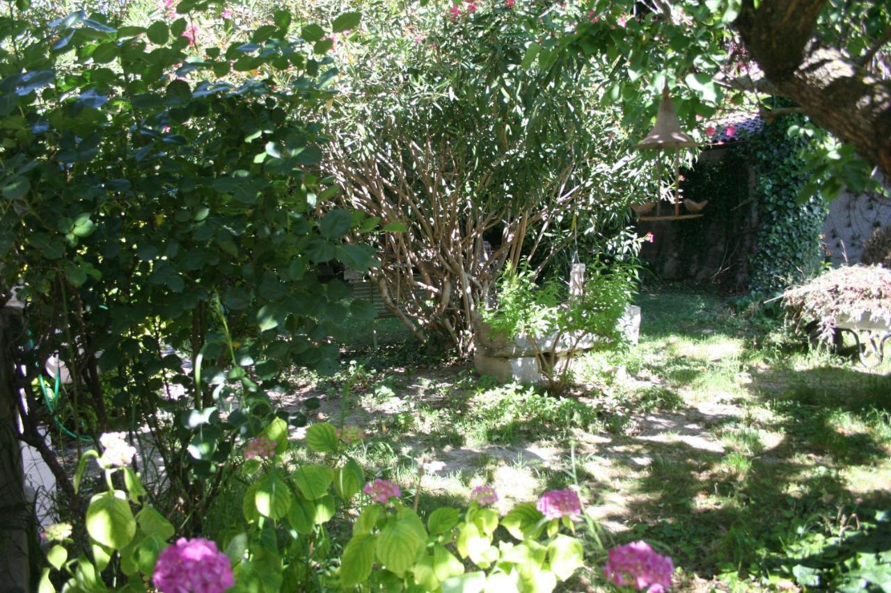 Le Petit Palais Maisonnette Aparthotel Αβινιόν Εξωτερικό φωτογραφία