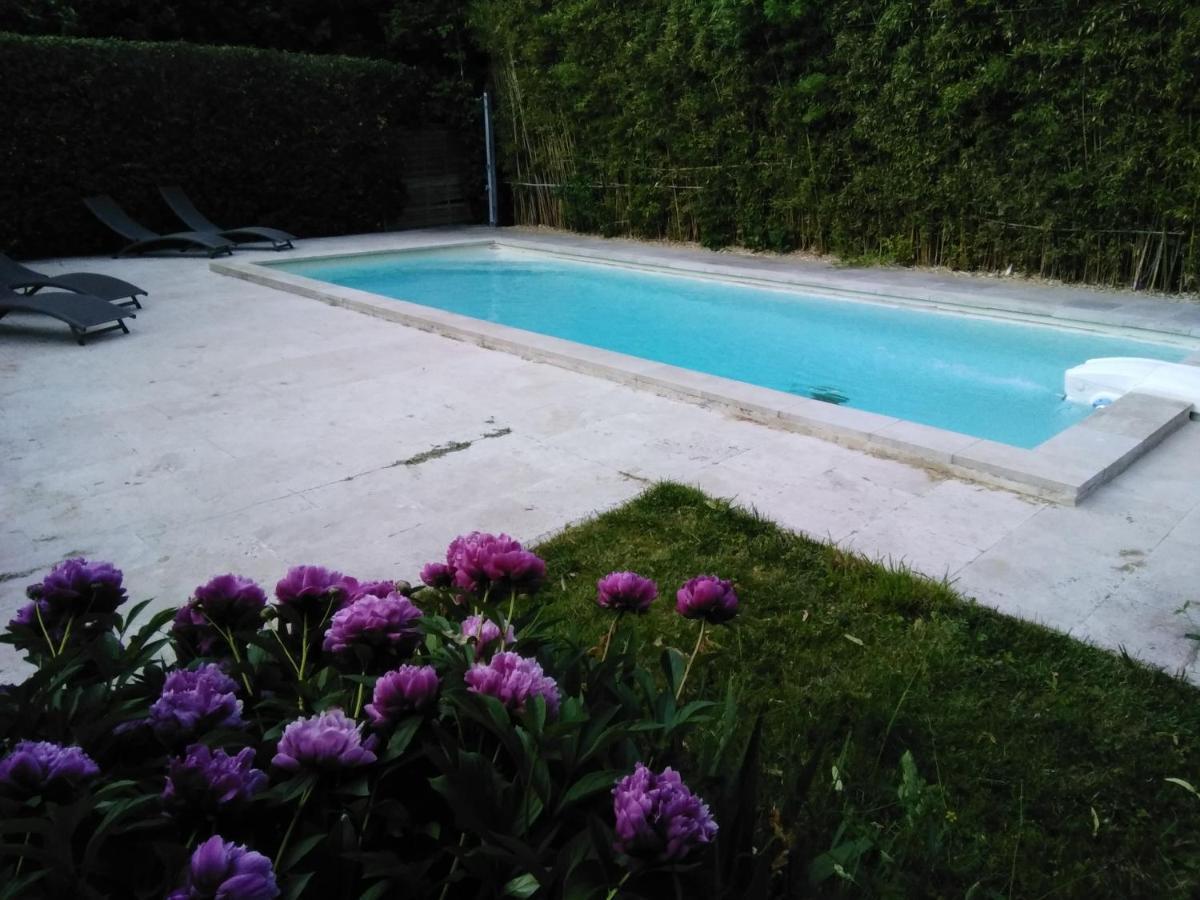 Le Petit Palais Maisonnette Aparthotel Αβινιόν Εξωτερικό φωτογραφία