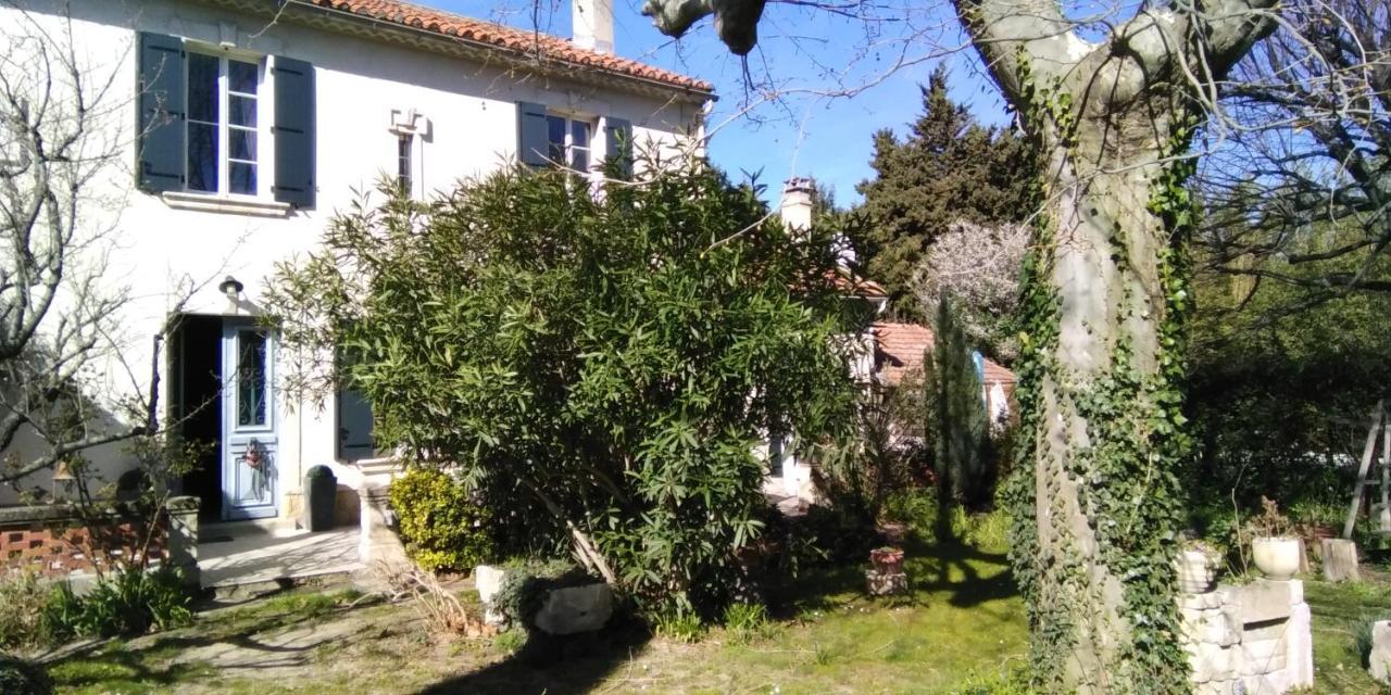 Le Petit Palais Maisonnette Aparthotel Αβινιόν Εξωτερικό φωτογραφία