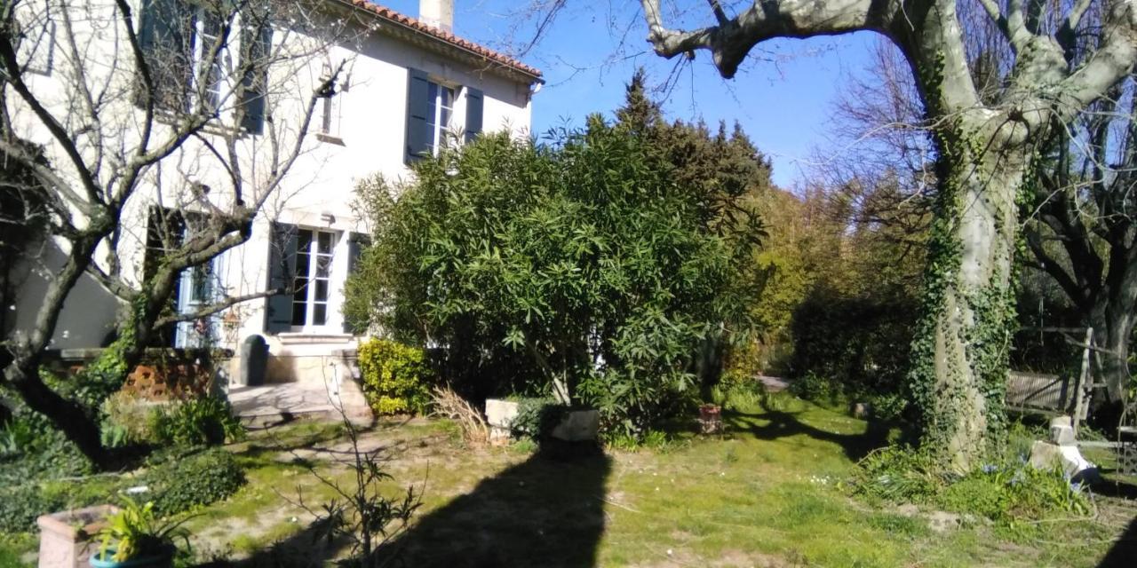 Le Petit Palais Maisonnette Aparthotel Αβινιόν Εξωτερικό φωτογραφία