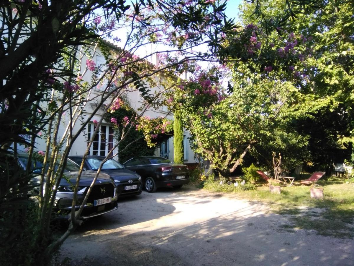 Le Petit Palais Maisonnette Aparthotel Αβινιόν Εξωτερικό φωτογραφία